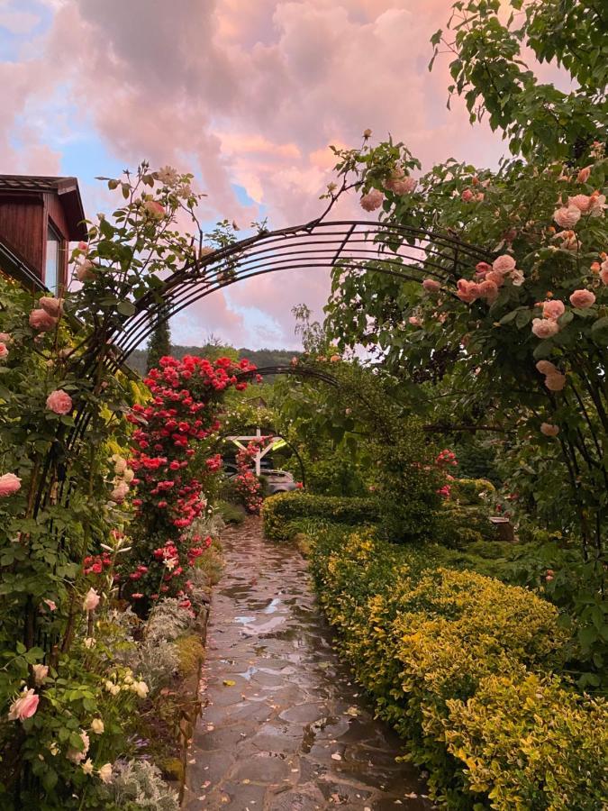 Casa Cu Suflet Hotel ซิวิโชอารา ภายนอก รูปภาพ