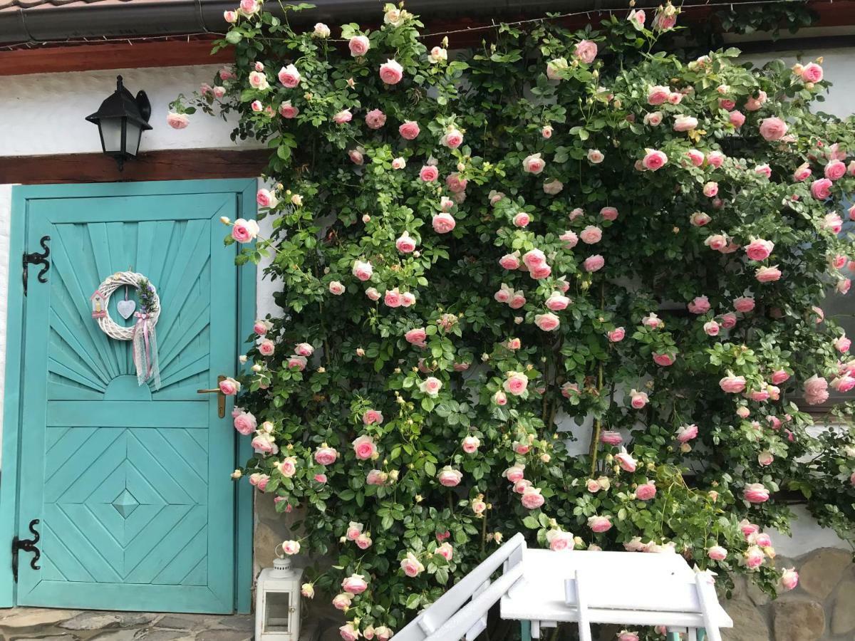 Casa Cu Suflet Hotel ซิวิโชอารา ภายนอก รูปภาพ